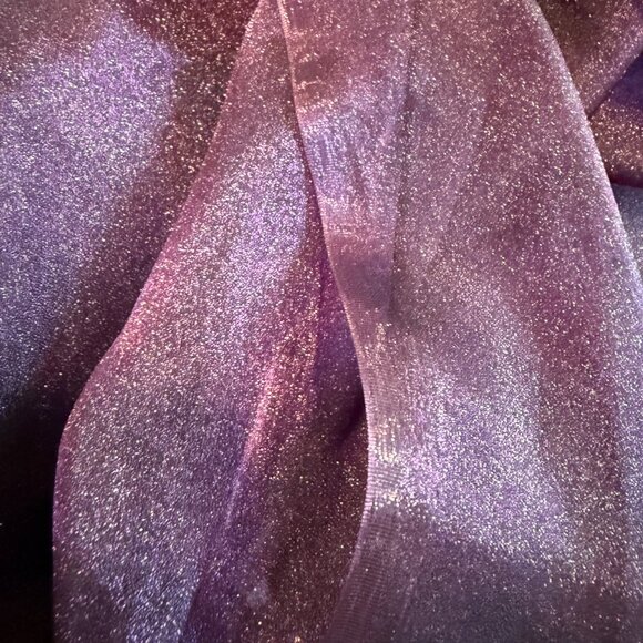 Size 22 Michaelangelo Gown (and Wrap) - Picture 7 of 13